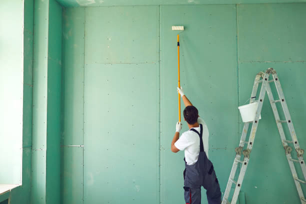 Touch-Up Painting Services in Red Lake, AZ